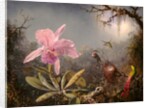 Cattleya Orchid and Three Hummingbirds, 1871 by Martin Johnson Heade