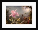 Cattleya Orchid and Three Hummingbirds, 1871 by Martin Johnson Heade