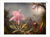 Cattleya Orchid and Three Hummingbirds, 1871 by Martin Johnson Heade