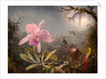 Cattleya Orchid and Three Hummingbirds, 1871 by Martin Johnson Heade