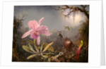 Cattleya Orchid and Three Hummingbirds, 1871 by Martin Johnson Heade