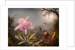 Cattleya Orchid and Three Hummingbirds, 1871 by Martin Johnson Heade
