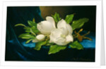 Giant Magnolias on a Blue Velvet Cloth, c.1890 by Martin Johnson Heade