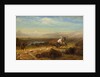 The Last of the Buffalo, c.1888 by Albert Bierstadt