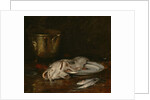 An English Cod, 1904 by William Merritt Chase