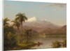 Tamaca Palms, 1854 by Frederic Edwin Church