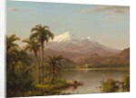 Tamaca Palms, 1854 by Frederic Edwin Church
