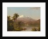 Tamaca Palms, 1854 by Frederic Edwin Church