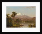 Tamaca Palms, 1854 by Frederic Edwin Church