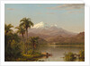 Tamaca Palms, 1854 by Frederic Edwin Church
