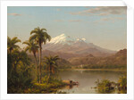 Tamaca Palms, 1854 by Frederic Edwin Church