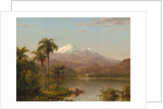 Tamaca Palms, 1854 by Frederic Edwin Church