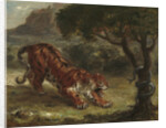 Tiger and Snake, 1862 by Ferdinand Victor Eugene Delacroix