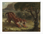 Tiger and Snake, 1862 by Ferdinand Victor Eugene Delacroix
