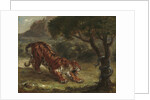 Tiger and Snake, 1862 by Ferdinand Victor Eugene Delacroix