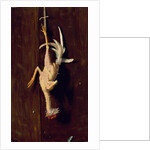 Plucked Clean, 1882 by William Michael Harnett