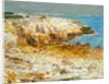 A North East Headland, 1901 by Childe Frederick Hassam
