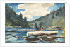 Hudson River - Logging, 1892 by Winslow Homer