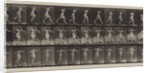 Plate Number 175. Crossing brook on step-stones with fishing-pole and can, 1887 by Eadweard Muybridge