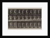 Plate Number 175. Crossing brook on step-stones with fishing-pole and can, 1887 by Eadweard Muybridge