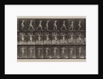 Plate Number 175. Crossing brook on step-stones with fishing-pole and can, 1887 by Eadweard Muybridge