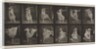 Plate Number 188. Dancing, 1887 by Eadweard Muybridge