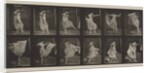Plate Number 188. Dancing, 1887 by Eadweard Muybridge