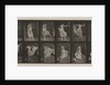 Plate Number 188. Dancing, 1887 by Eadweard Muybridge