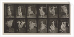 Plate Number 188. Dancing, 1887 by Eadweard Muybridge