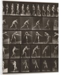 Plate Number 521 by Eadweard Muybridge