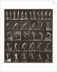 Plate Number 521 by Eadweard Muybridge