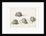 Four studies of a diseased mouse by Jacob II de Gheyn