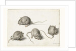 Four studies of a diseased mouse by Jacob II de Gheyn