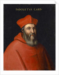 Portrait of Jacopo Sadoleto, c.1560 by Cristofano dell' (and workshop) Altissimo