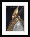 Portrait of Pope Pius II, c.1560 by Cristofano dell' Altissimo