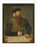 Portrait of a Bearded Man, 1565 by Jost Amman