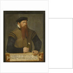 Portrait of a Bearded Man, 1565 by Jost Amman