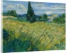 Green Wheat Field with Cypress, 1889 by Vincent van Gogh