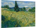 Green Wheat Field with Cypress, 1889 by Vincent van Gogh