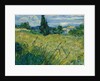 Green Wheat Field with Cypress, 1889 by Vincent van Gogh