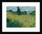 Green Wheat Field with Cypress, 1889 by Vincent van Gogh