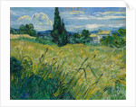 Green Wheat Field with Cypress, 1889 by Vincent van Gogh