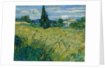 Green Wheat Field with Cypress, 1889 by Vincent van Gogh