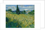 Green Wheat Field with Cypress, 1889 by Vincent van Gogh