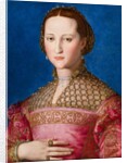 Portrait of Eleanor of Toledo, c.1543 by Agnolo di Cosimo Bronzino
