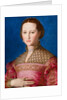 Portrait of Eleanor of Toledo, c.1543 by Agnolo di Cosimo Bronzino