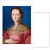 Portrait of Eleanor of Toledo, c.1543 by Agnolo di Cosimo Bronzino