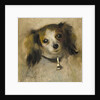 Head of a Dog, 1870 by Pierre Auguste Renoir