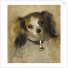 Head of a Dog, 1870 by Pierre Auguste Renoir