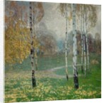 Birch Trees, 1904 by Alois Kalvoda